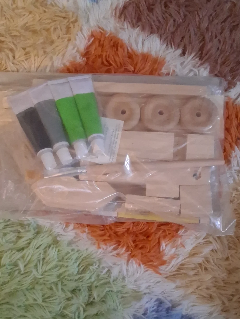 Young Woodwoekerd Kit Club - Set of 6 Different Wood Building Project Kits